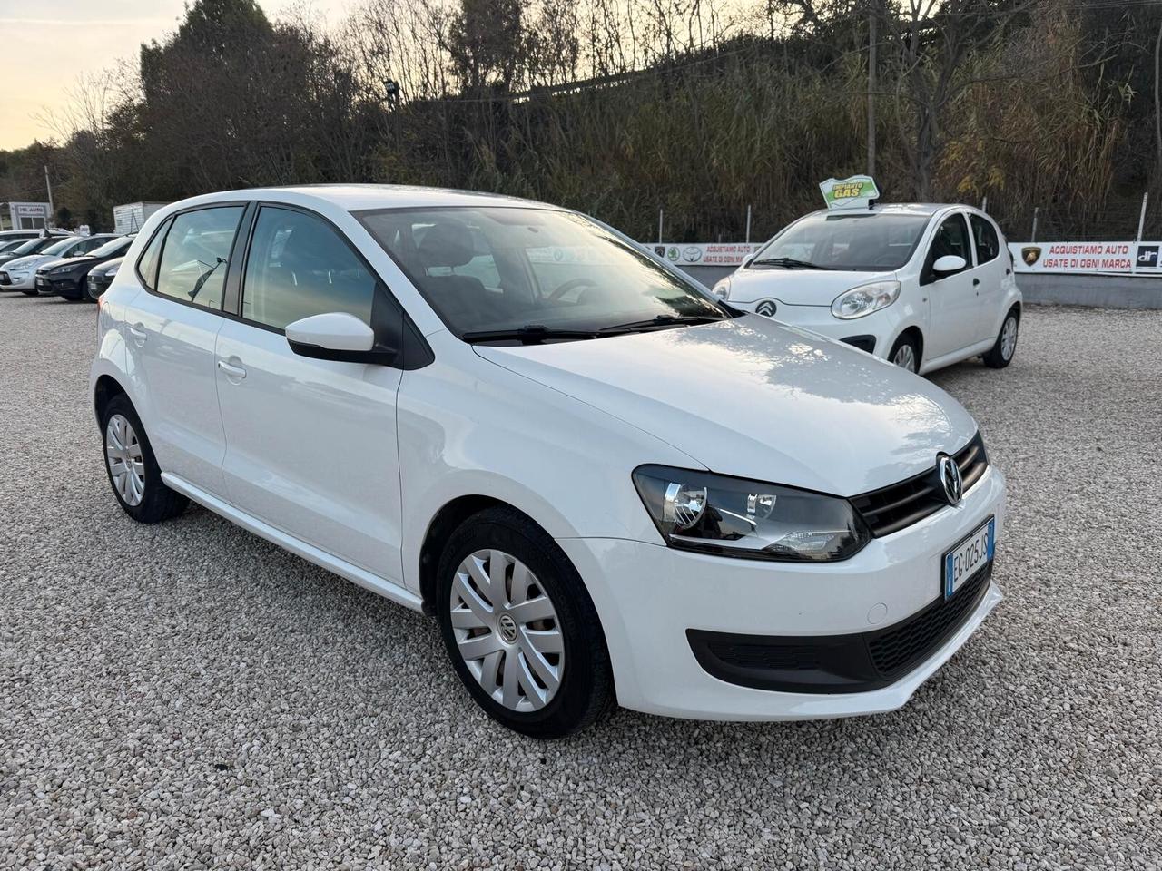 Volkswagen Polo 1.2 5 porte United