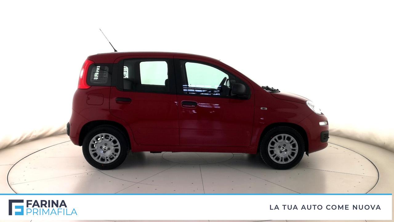 FIAT Panda III 2021 - Panda 1.0 firefly hybrid Pop s&s 70cv