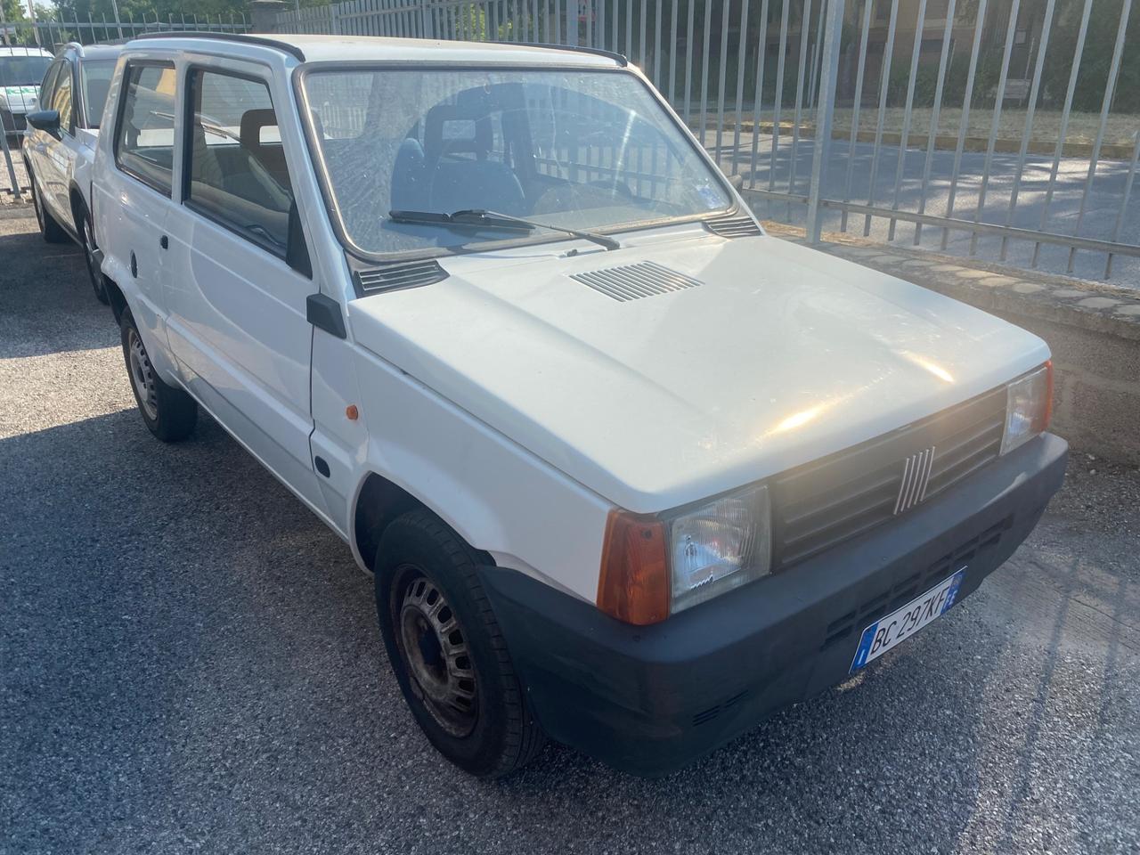 Fiat Panda 900 i.e. cat Young