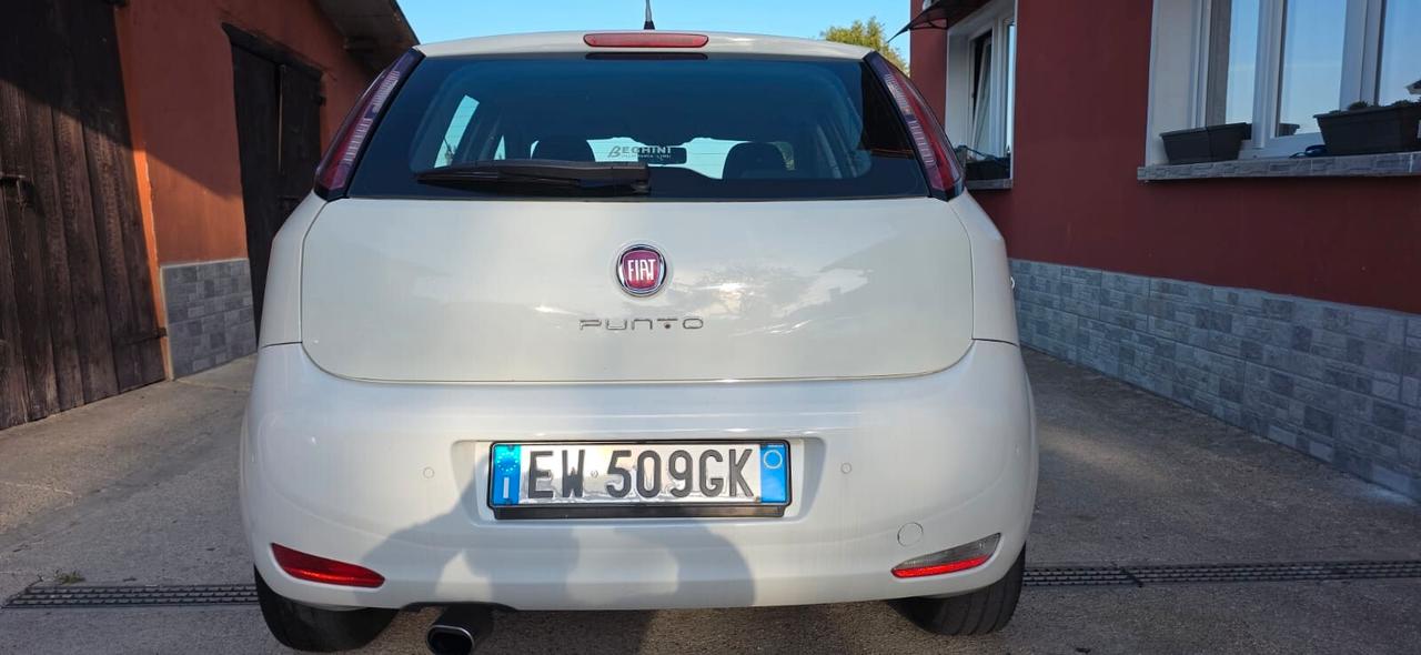 Fiat Punto 1.4 8V 5 porte Easypower Lounge gpl nuovo