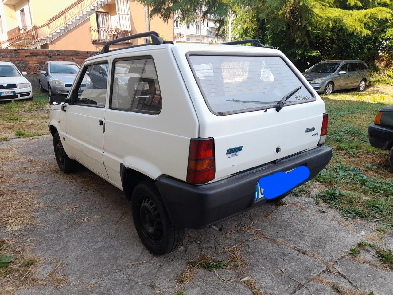 Fiat Panda 1100 i.e. cat Young