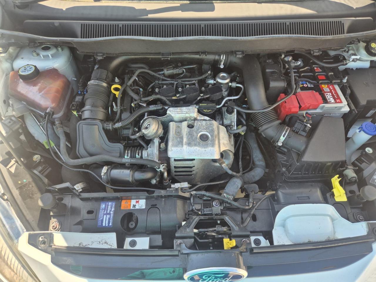 Ford B-Max 1.0 EcoBoost 100 CV Business