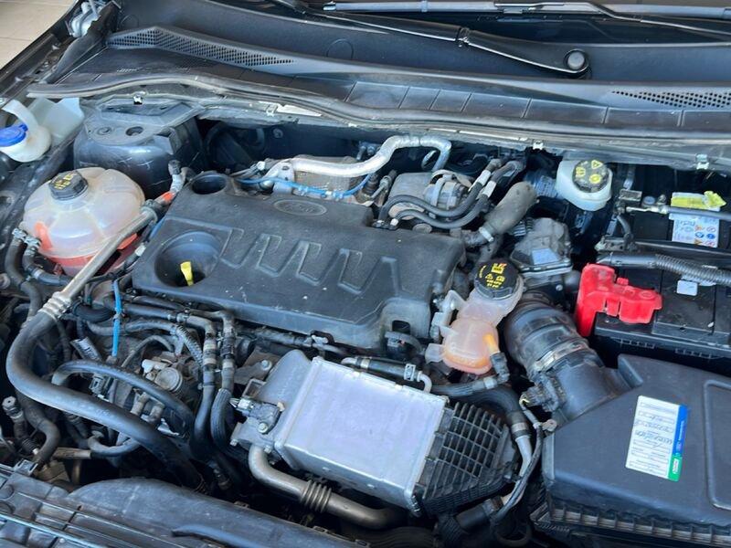 Ford Kuga 3ª serie 2.0 EcoBlue Hybrid 150 CV 2WD ST-Line