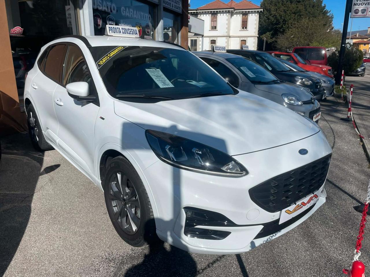 Ford Kuga 1.5 EcoBlue 120 CV 2WD ST-Line