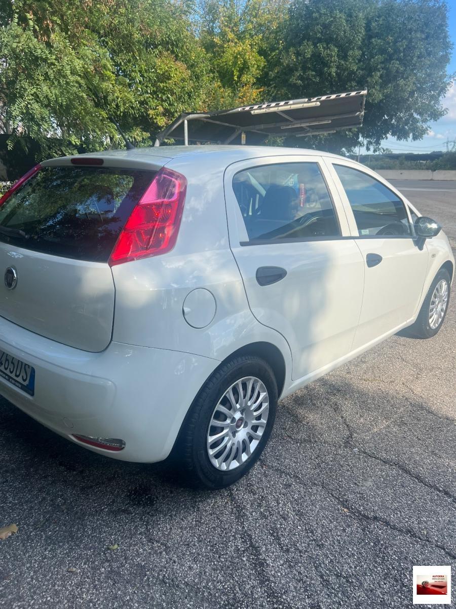 FIAT - Punto - 1.3 MJT II S&S 95 CV 5p. Street
