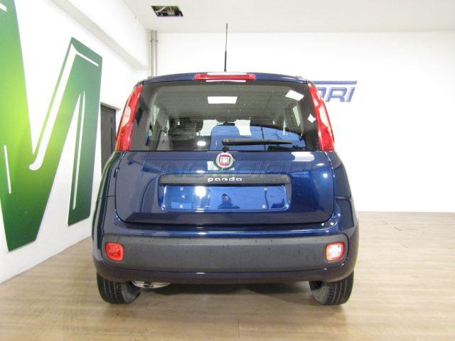 FIAT Panda 1.2 69 CV Lounge 5 POSTI