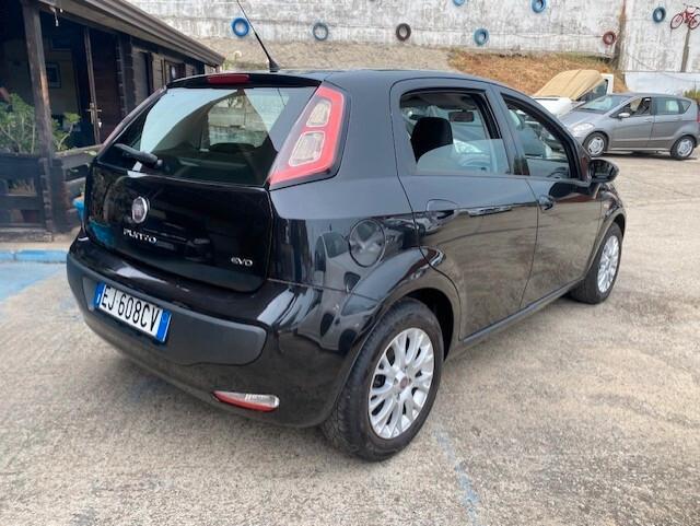 Fiat Punto Evo Punto Evo 1.3 Mjt 95 CV DPF 5 porte S&S Emotion