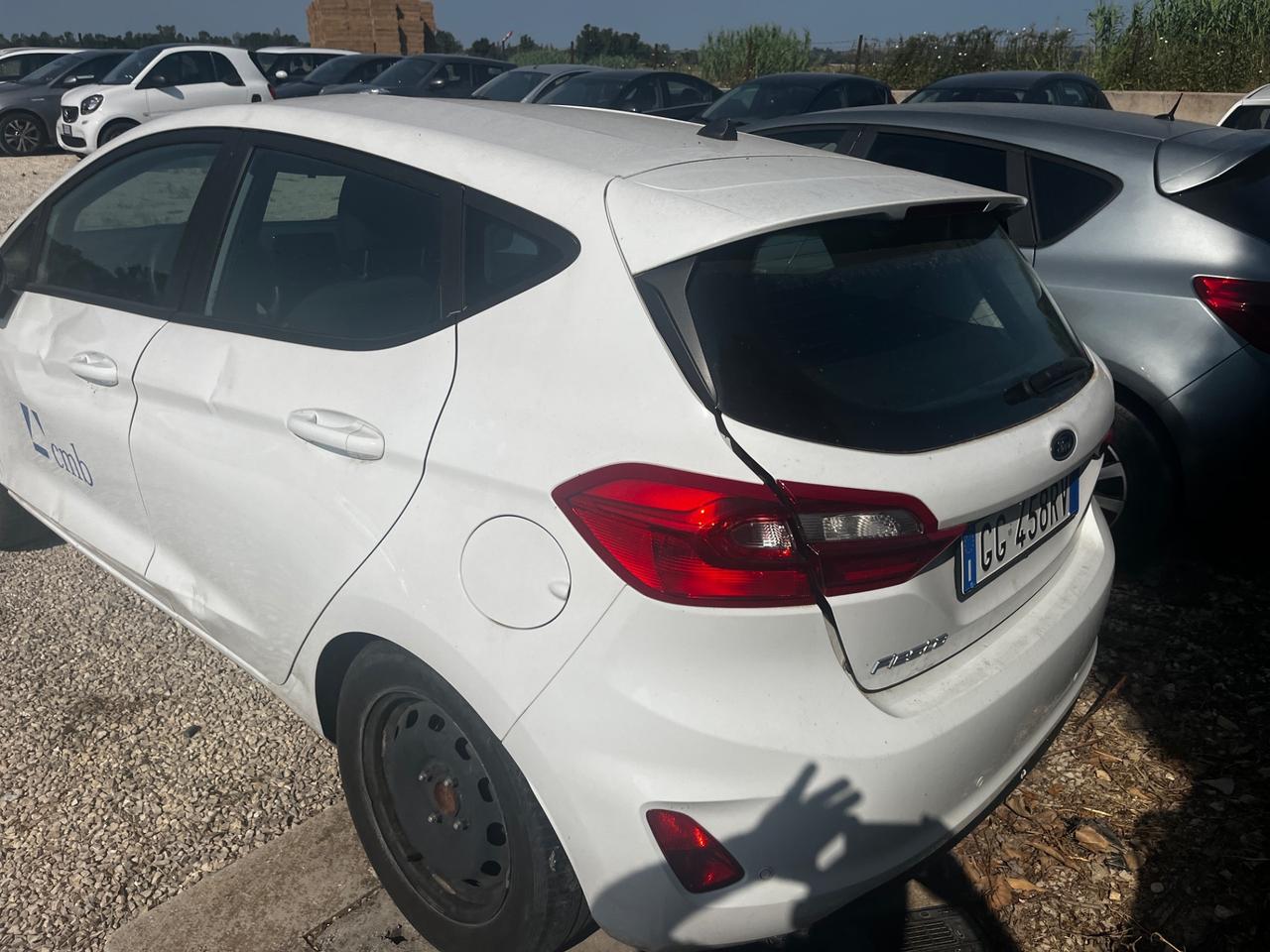 Ford Fiesta 1.0 Ecoboost 100 CV 5 porte Business
