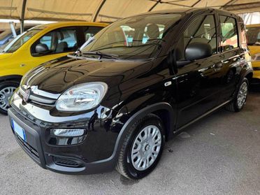 FIAT Pandina III 2024 - Pandina 1.0 firefly hybrid Icon s&s 70cv