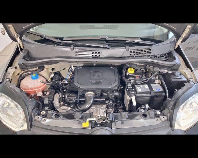 FIAT New Panda 1.0 firefly hybrid City Cross s&s 70cv