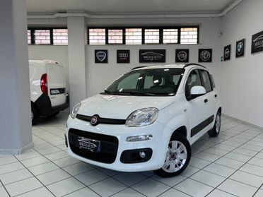 Fiat Panda 1.2cc 69cv Easy Unico Proprietario