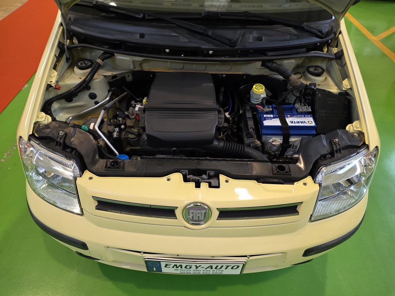 Fiat Panda 1.2 benzina,,Emotion Eco Neo Patentati