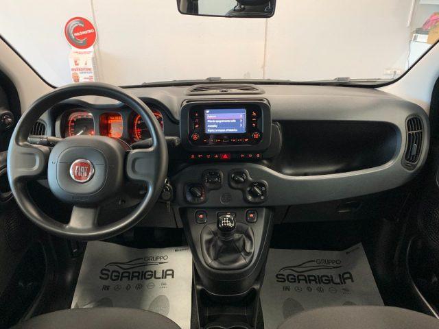 FIAT Panda 1.0 Benzina Hybrid City Life
