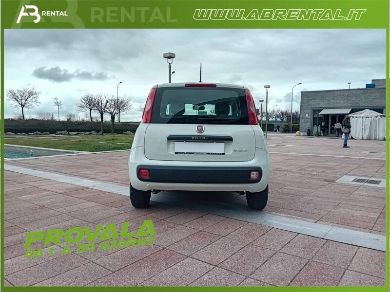 FIAT Panda 3ª serie Panda 1.0 FireFly S&S Hybrid
