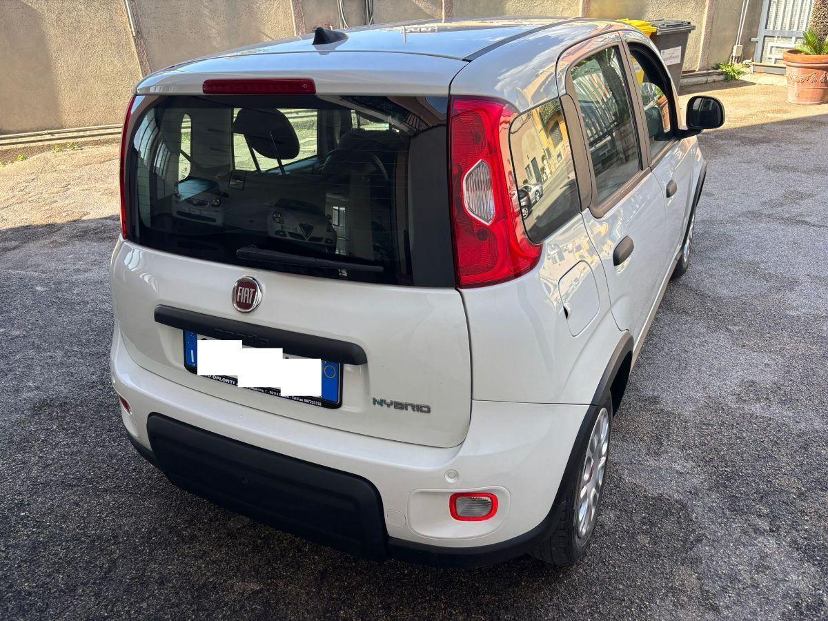 FIAT Panda 1.0 FireFly S&S Hybrid City Life 5 Posti