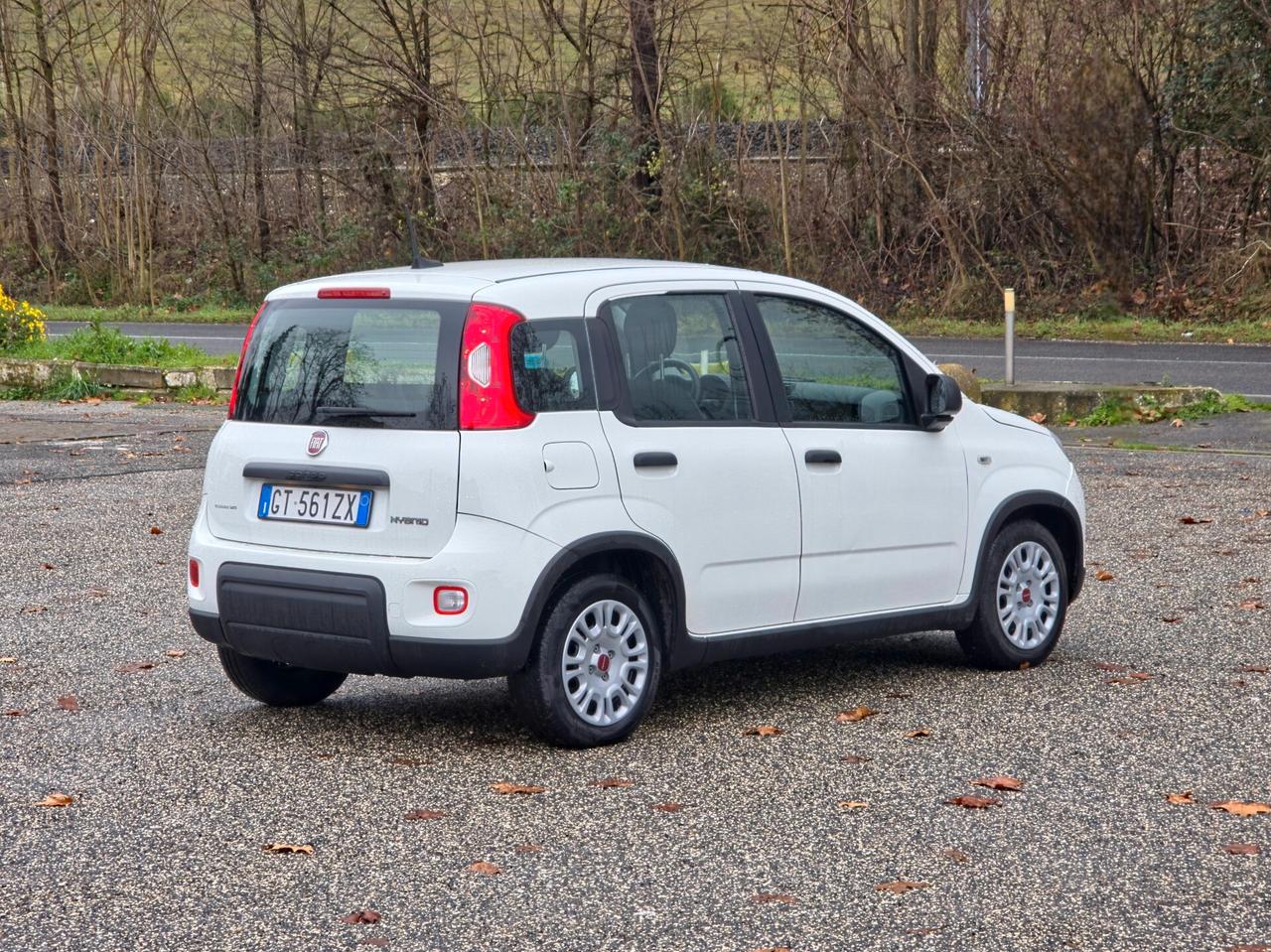 Fiat Panda 1.0 FireFly S&S Hybrid 2024-E6 Manuale NEO