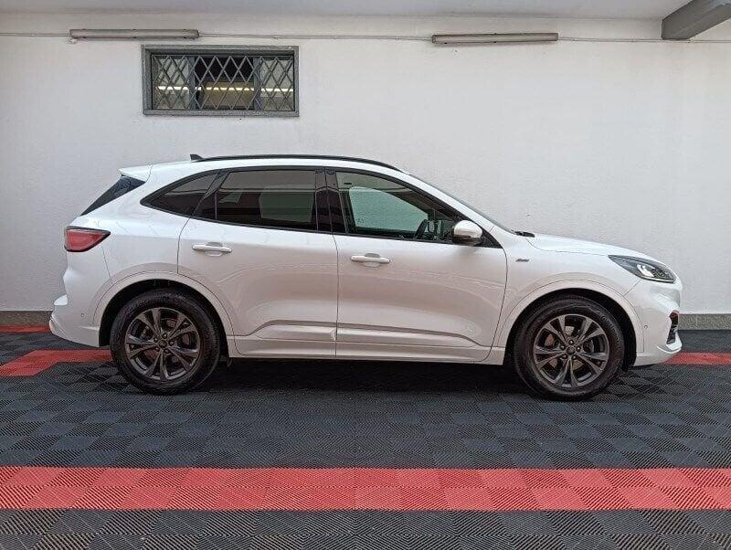 Ford Kuga Kuga 1.5 EcoBlue 120 CV aut. 2WD ST-Line