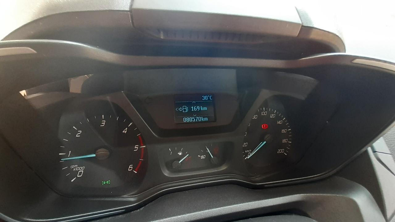 Ford Tourneo Custom Ford Tourneo Connect trasporto disabili pedana