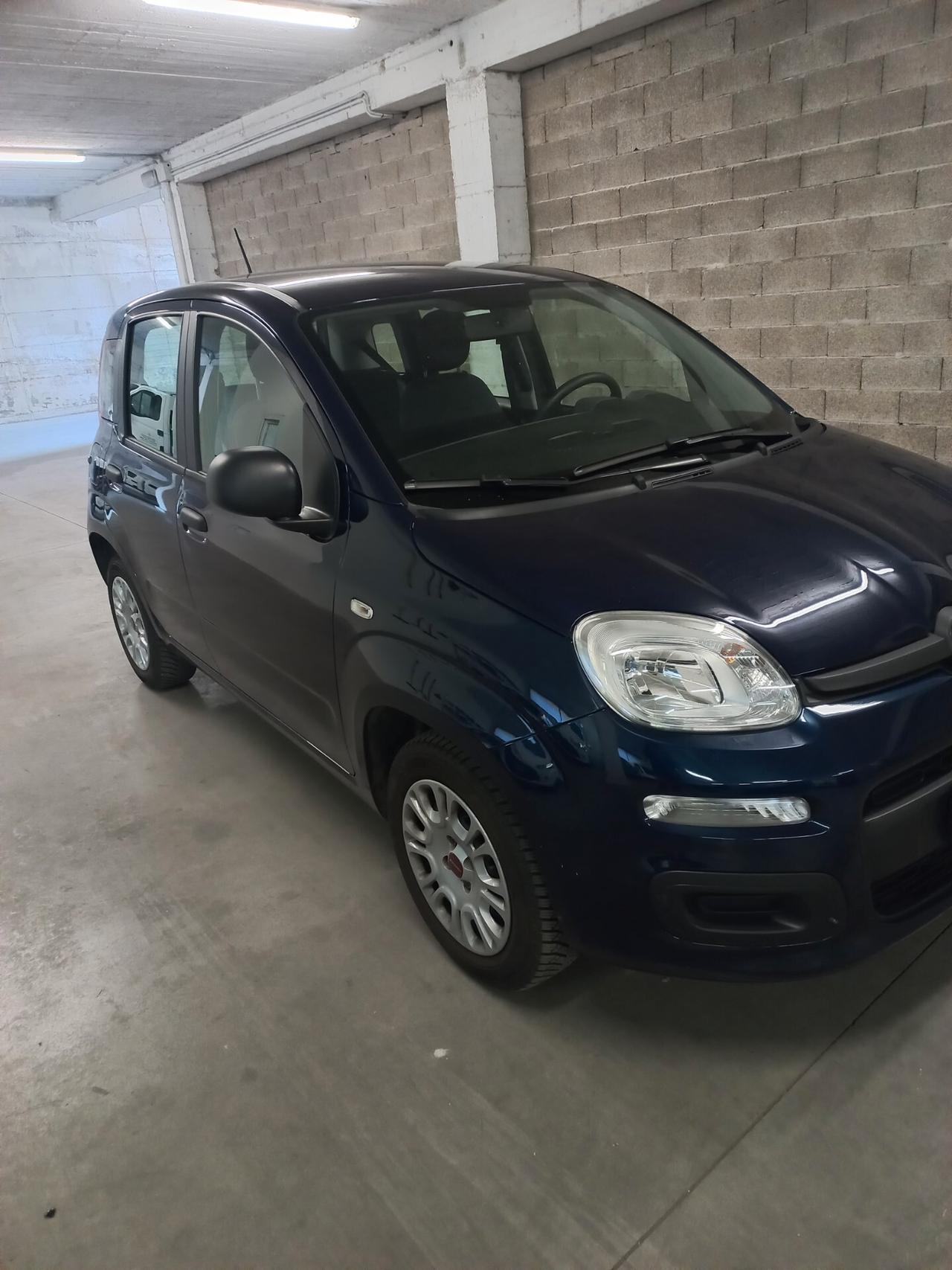 Fiat Panda 1.2 Pop modello Trussardi