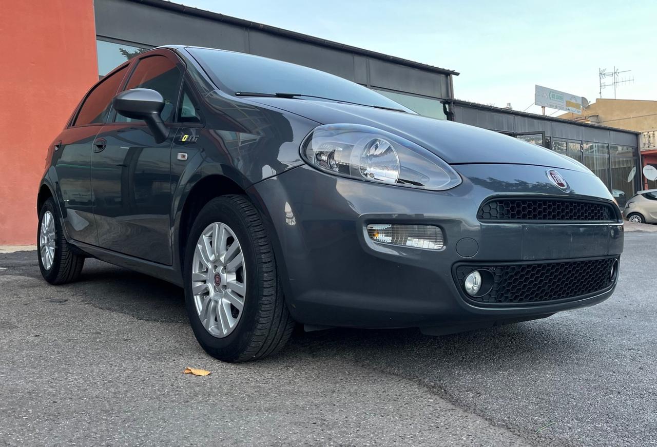 Fiat Punto 1.2 8V 5 porte Young-solo km 55900-