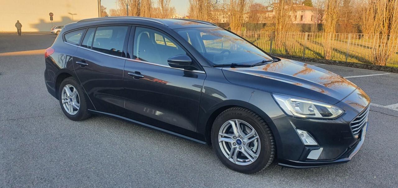 Ford Focus 1.5 EcoBlue 120 CV automatico SW Busine
