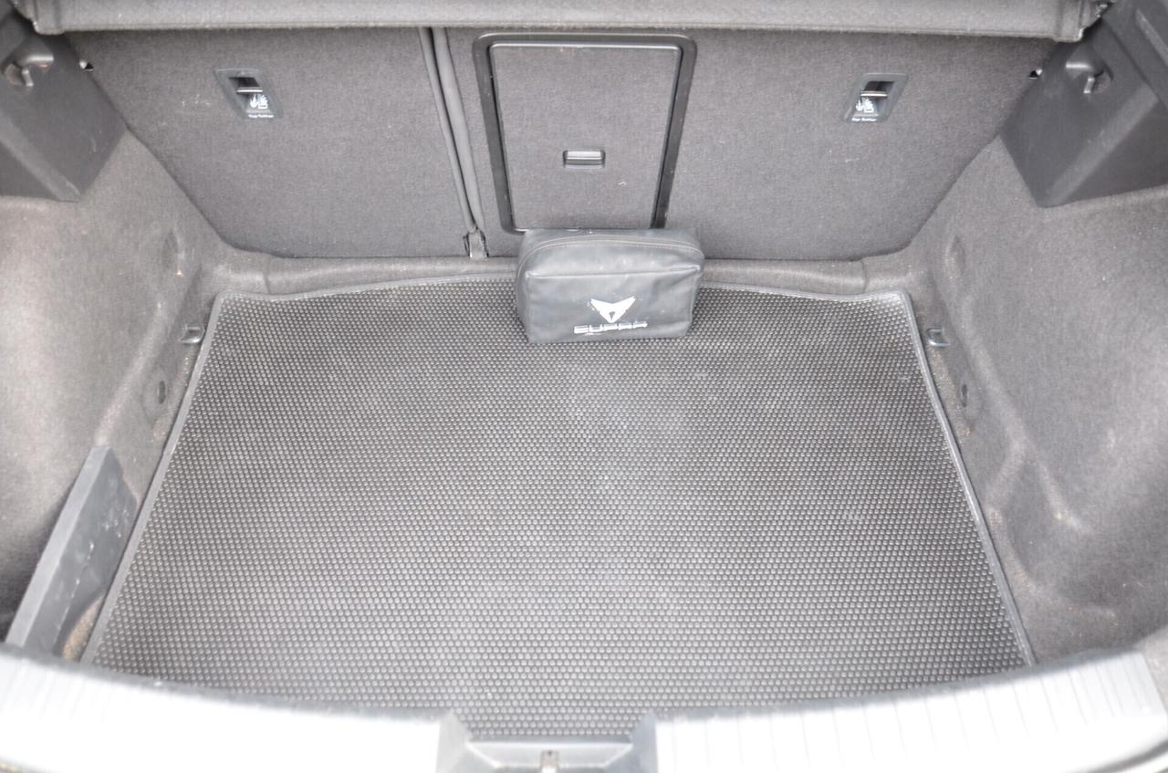 Cupra Leon 2.0 TSI 190 CV DSG