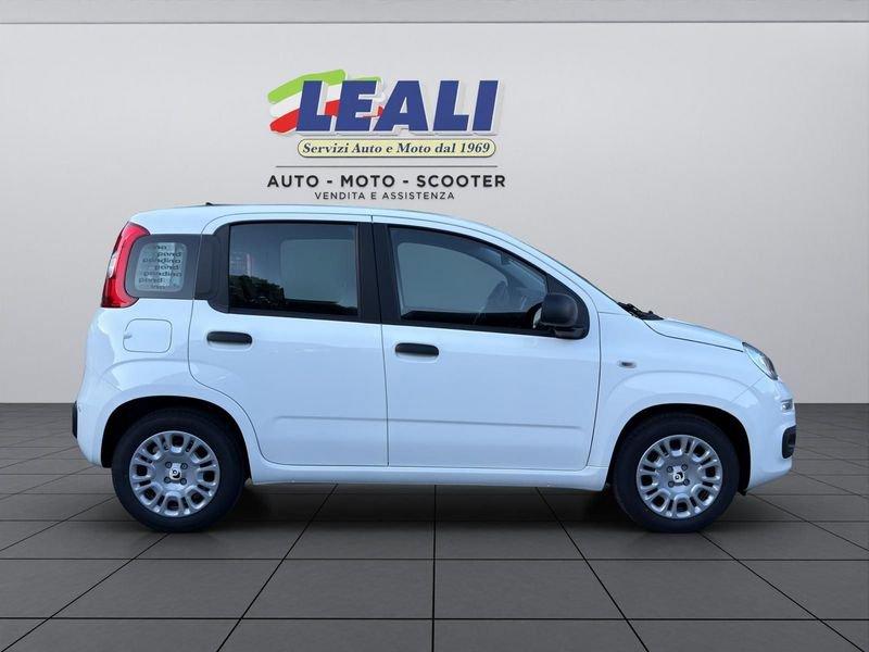 FIAT Pandina Pandina 5p 1.0 FireFly 65cv S&S 6m Hybrid Icon