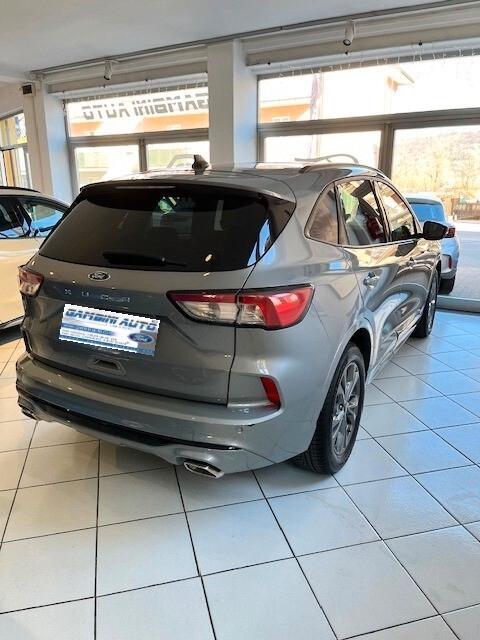 Ford Kuga 1.5 EcoBlue 120 CV 2WD ST-Line