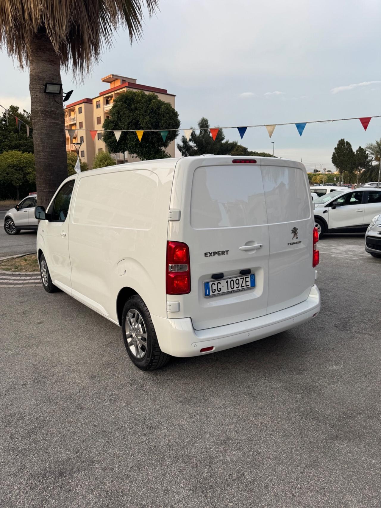 Peugeot Expert BlueHDi 150 S&S PL-TN Furgone Premium Standard