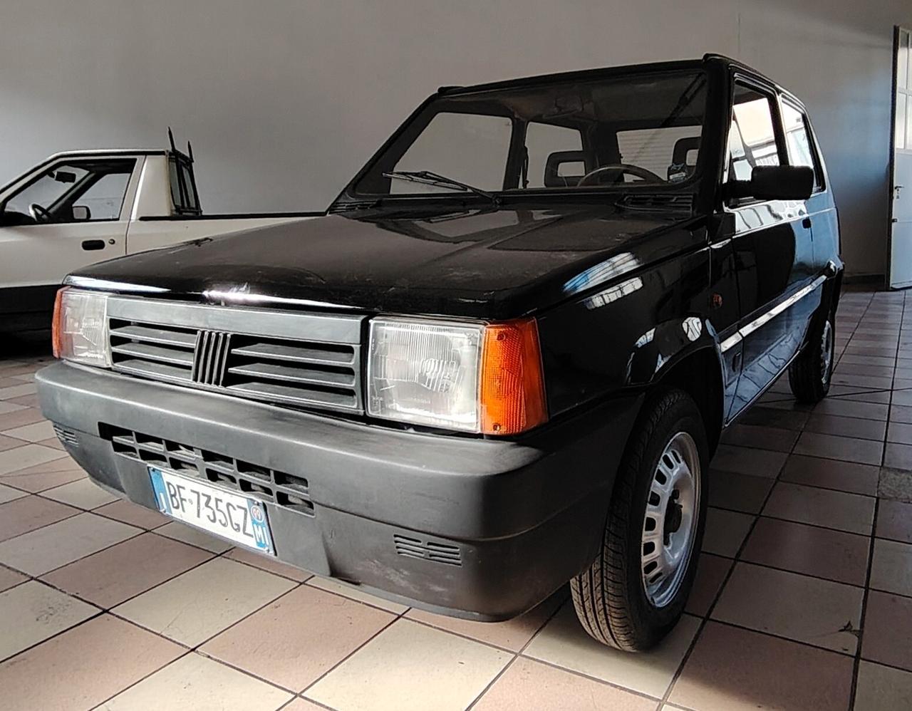 Fiat Panda 900 i.e. cat Young