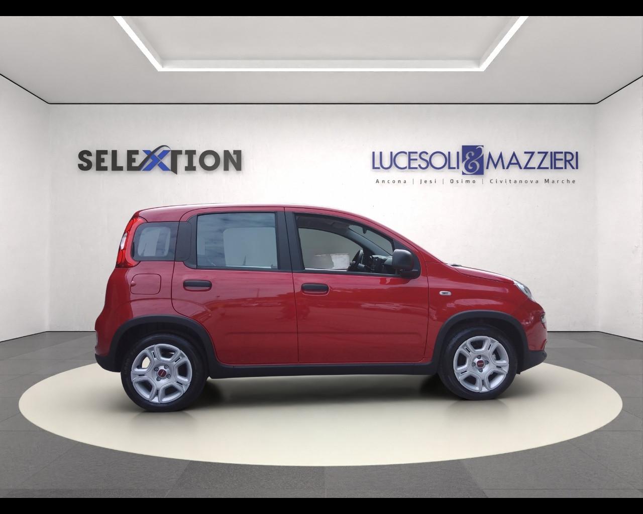 FIAT Panda 3ª serie - Panda 1.0 FireFly S&S Hybrid