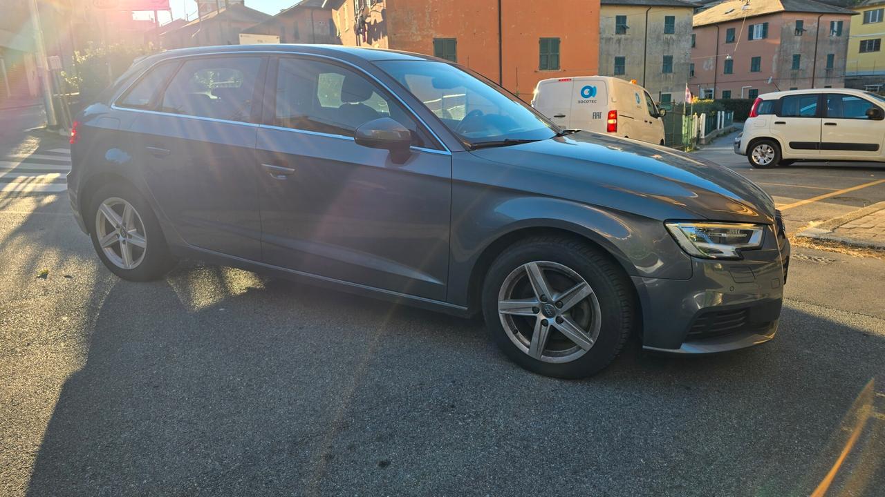 Audi A3 SPB 1.6 TDI 116 CV Business