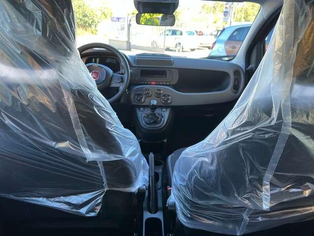 Fiat Panda Panda1.0 firefly hybrid KM 0 DIVERSI COLORI pronte