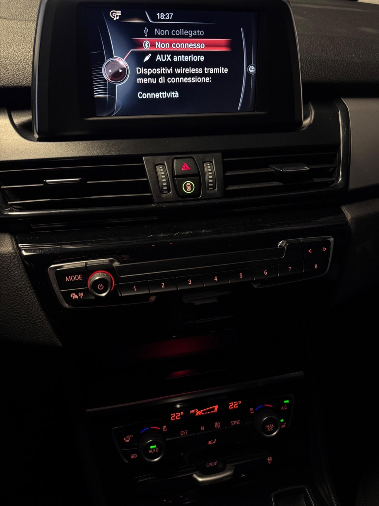 Bmw 2er Active Tourer 218i Luxury