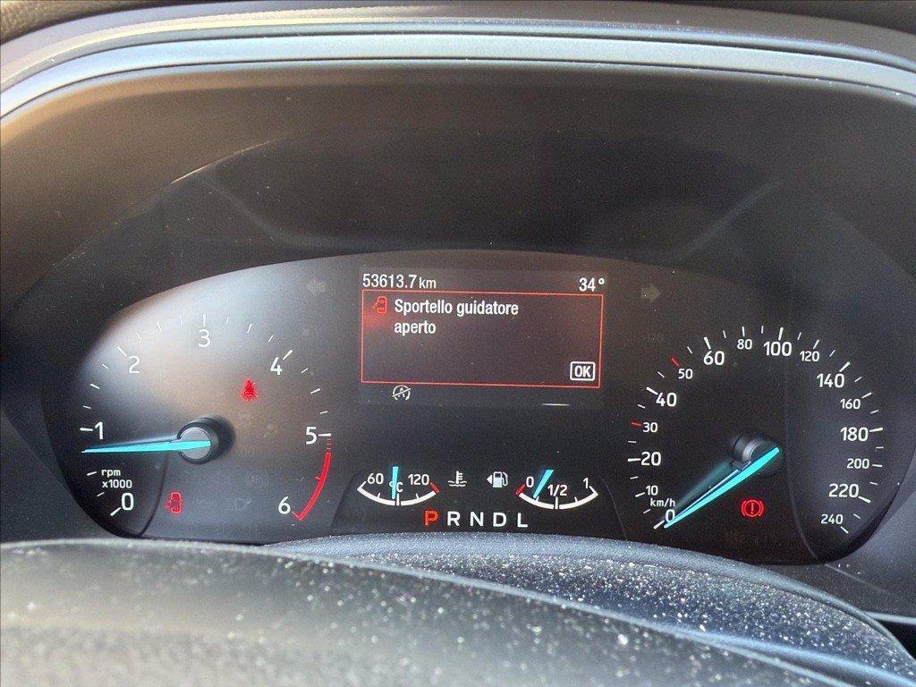 FORD Focus Active 1.5 ecoblue Style 115cv auto del 2023