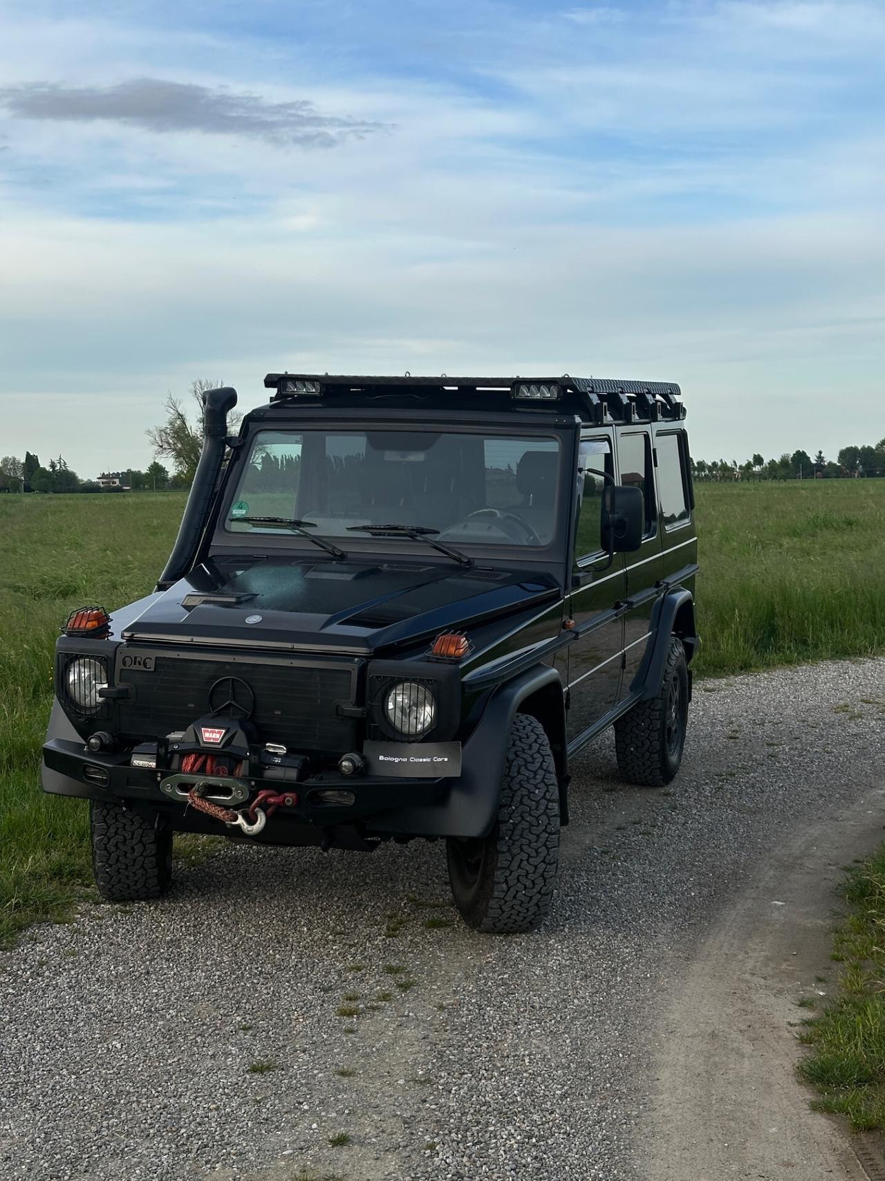 Mercedes-benz G 300 Professional