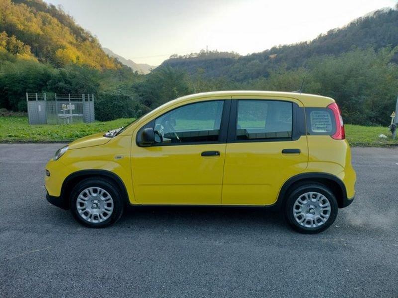 FIAT Panda 1.0 FireFly S&S Hybrid Pandina