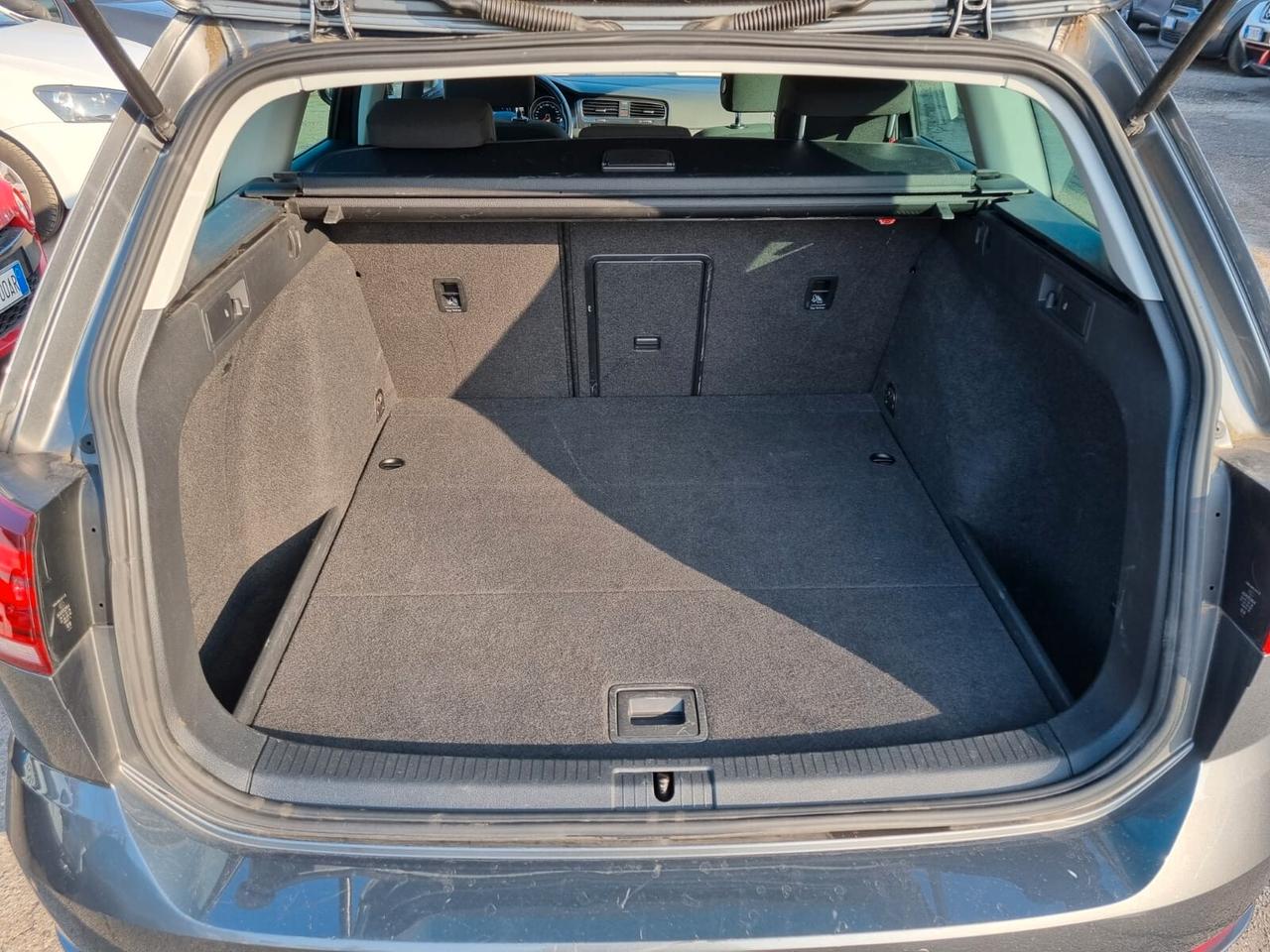 Volkswagen Golf Variant Golf Variant 1.6 TDI 115 CV Business BlueMotion Technology