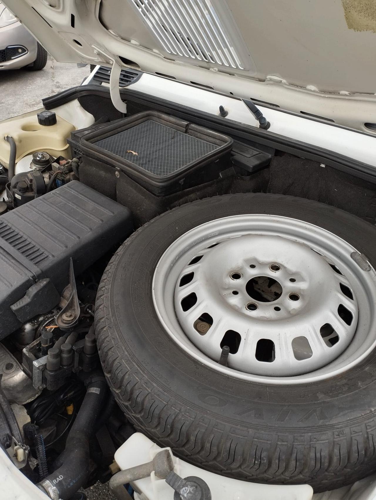 Fiat Panda 1100 i.e. cat Young