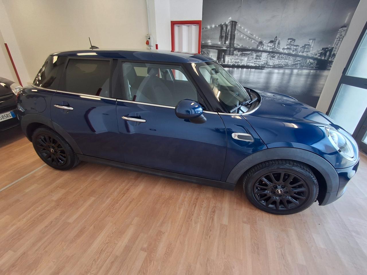 Mini Mini 1.5 One D
