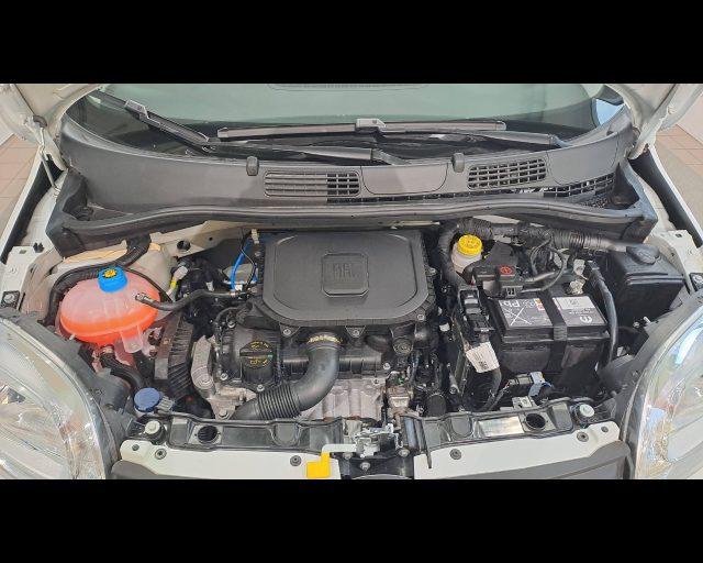 FIAT Panda 1.0 firefly hybrid Icon s&s 70cv 5p.ti