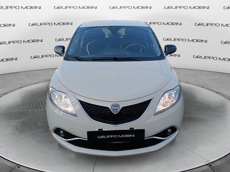 Lancia Ypsilon Ypsilon 1.3 MJT 16V 95 CV 5 porte S&S Silver