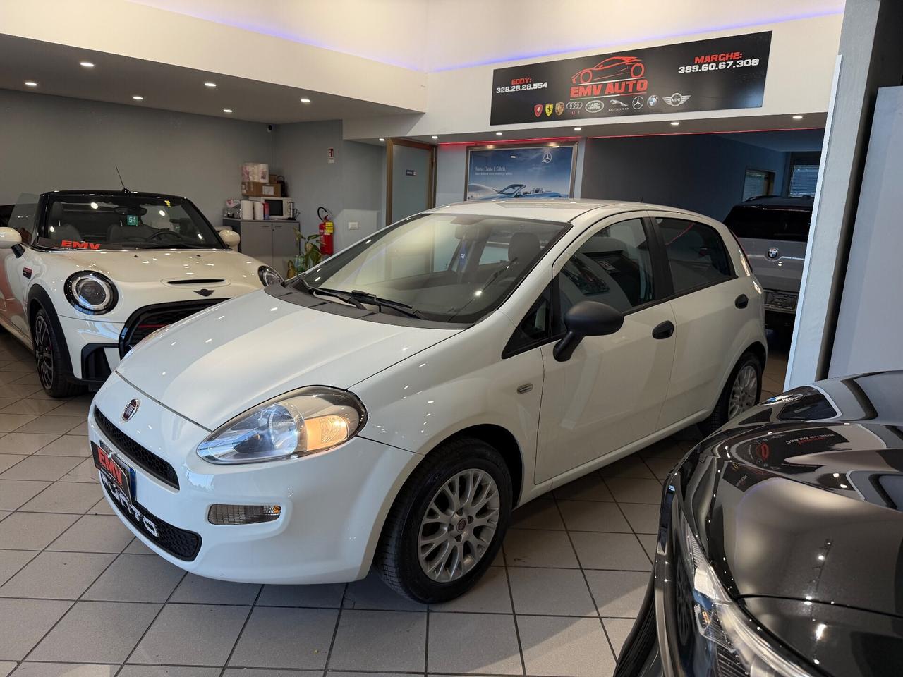 Fiat Punto 1.3 MJT II 75 CV 5 porte Street ok neopatentati