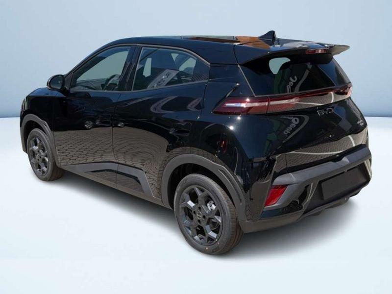 BYD Dolphin Surf Boost