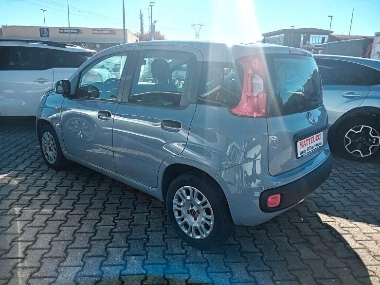 FIAT PANDA 1.2 BENZINA 69 CV EASY AZIENDALE