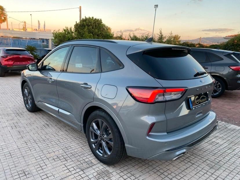 Ford Kuga 1.5 EcoBlue 120 CV 2WD ST-Line