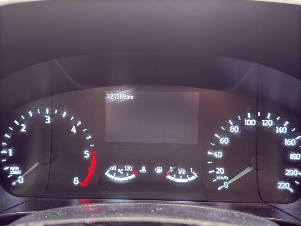 FORD Kuga 1.5 EcoBlue 120 CV 2WD Connect del 2021