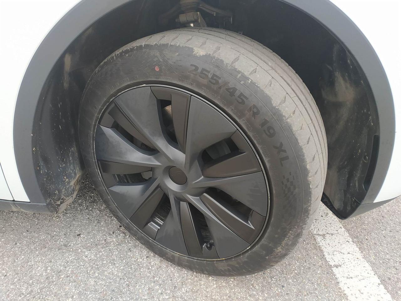 Tesla Model Y Standard Range / Standard #9113