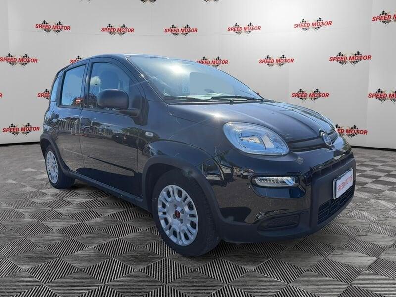 FIAT Panda Panda 1.0 firefly hybrid 70cv, CARPLAY, PRONTA CONSEGNA!