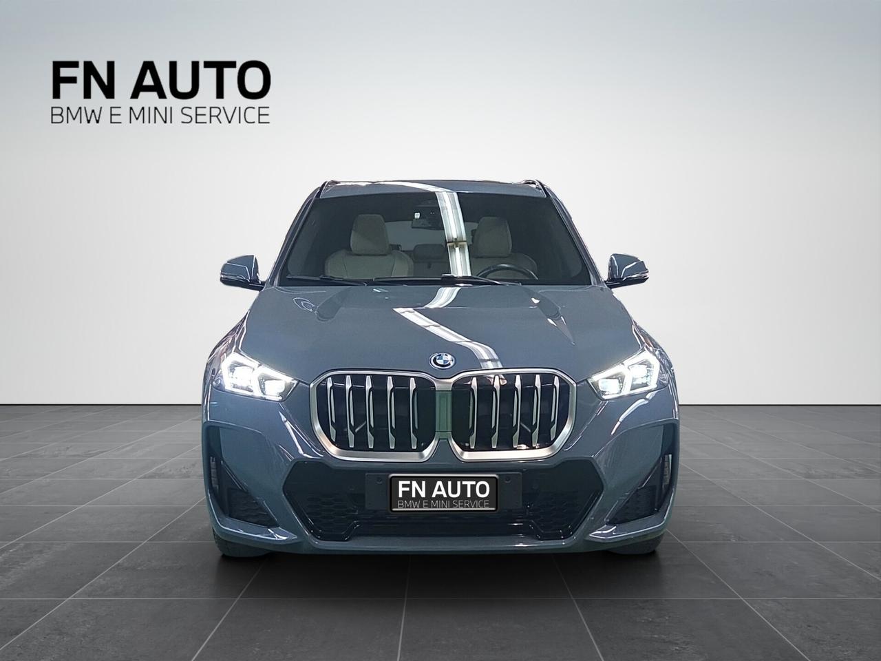 Bmw X1 xDrive 25e Msport